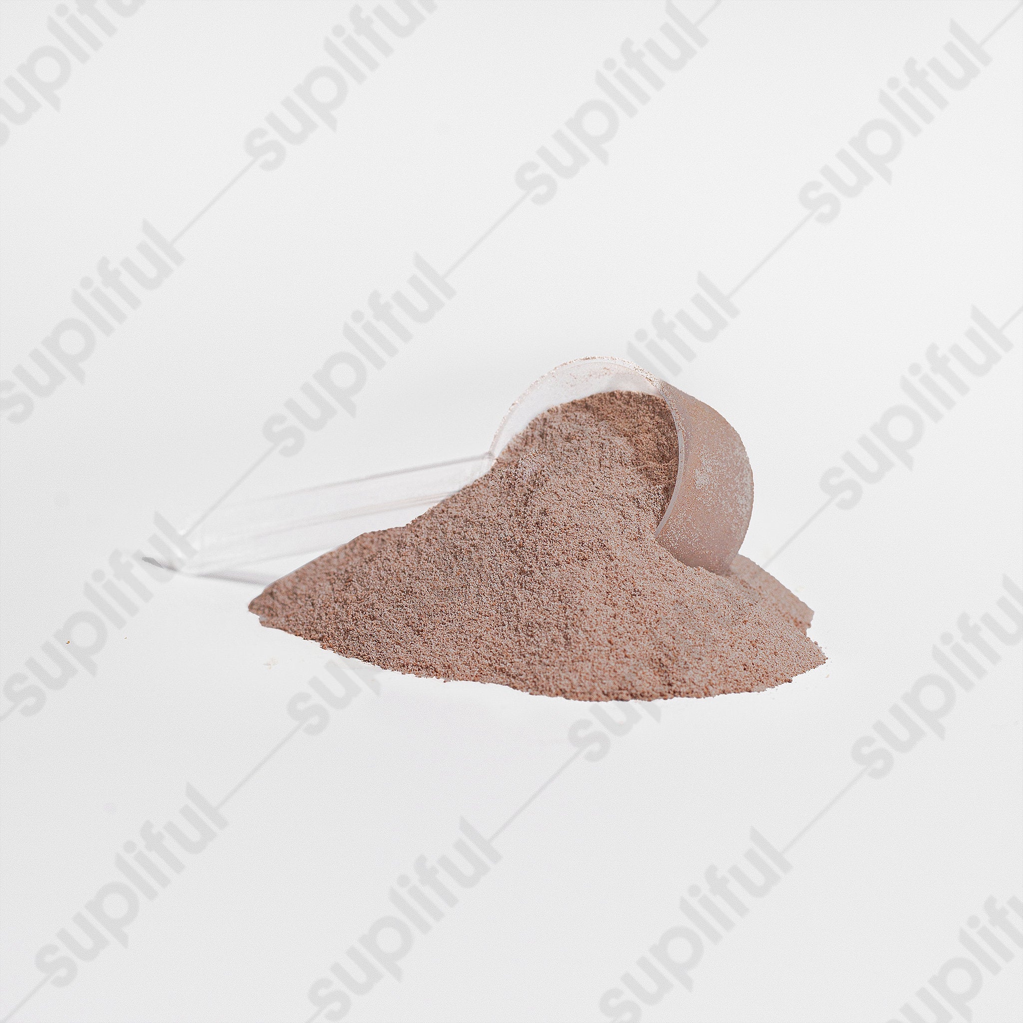 Advanced 100% Whey Protein Isolate (Chocolate) FORGE