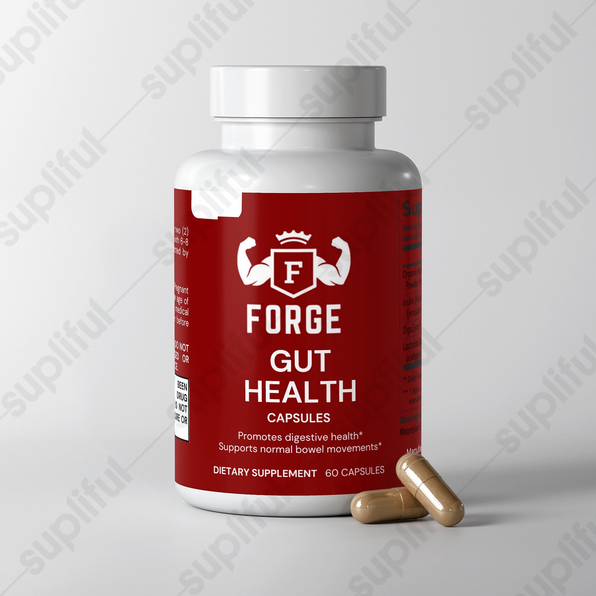 Gut Health FORGE